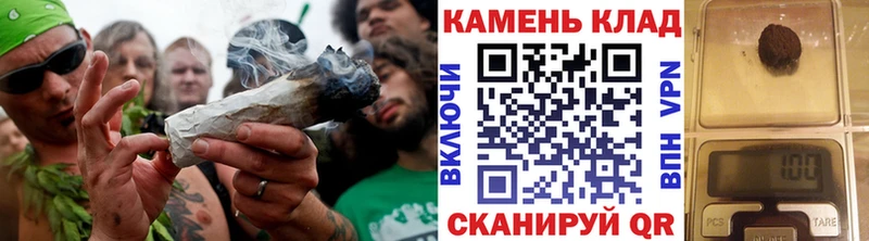 Где купить наркоту Светогорск Гашиш  А ПВП  Псилоцибиновые грибы  КОКАИН  Бутират  Меф мяу мяу 