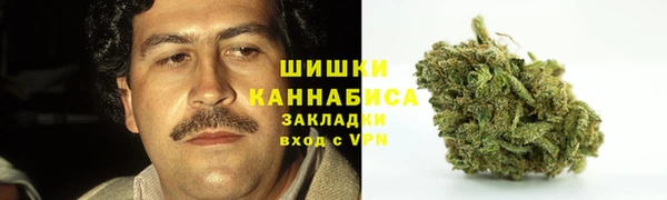 тгк Елабуга