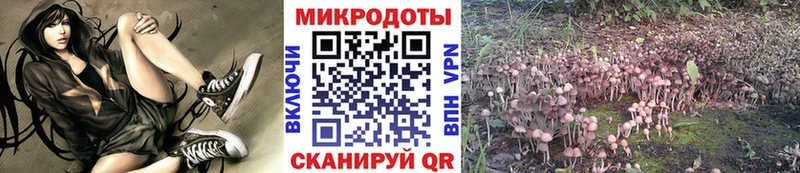 МЕГА сайт  Светогорск  Галлюциногенные грибы мицелий  закладка 